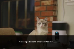 featured ginseng siberiano erezione sta