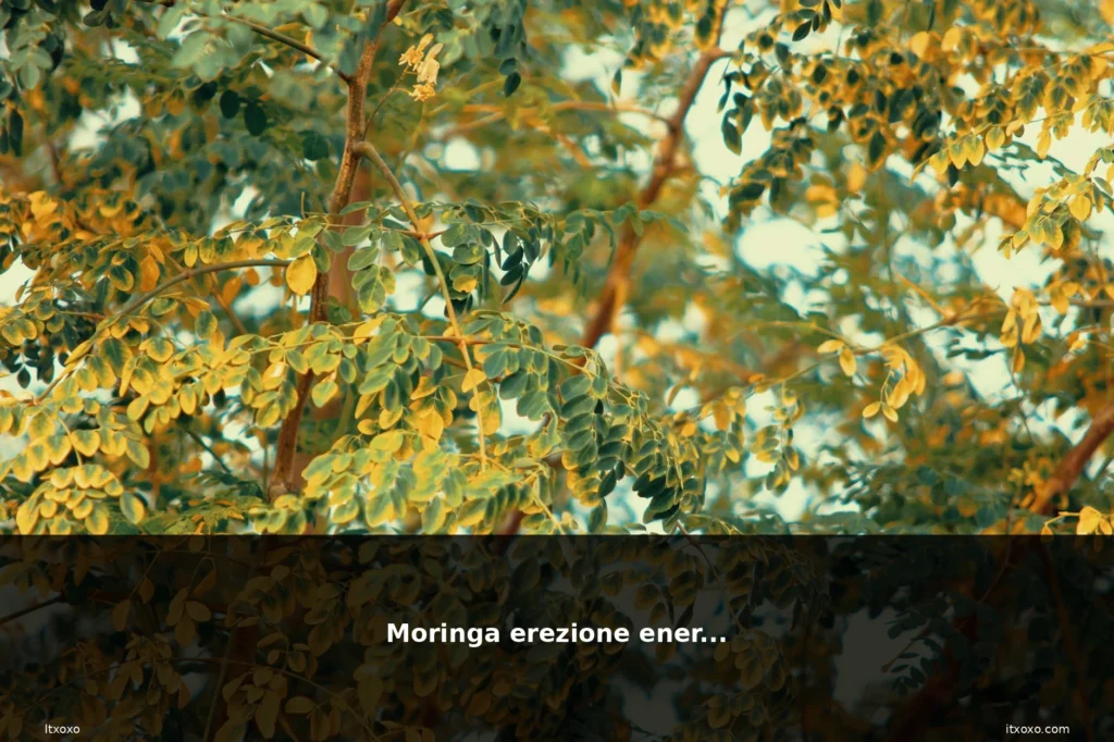 featured moringa erezione energia