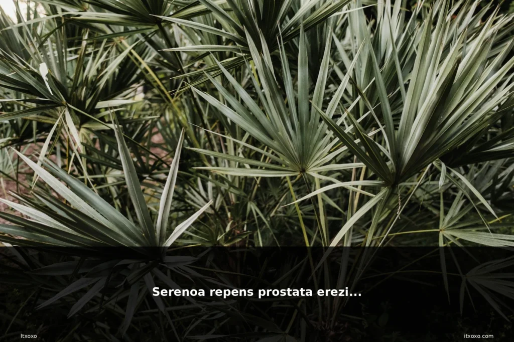 featured serenoa repens prostata erezio
