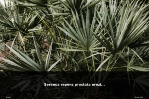 featured serenoa repens prostata erezio