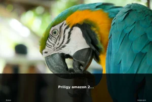 featured priligy amazon pillola medicin 1