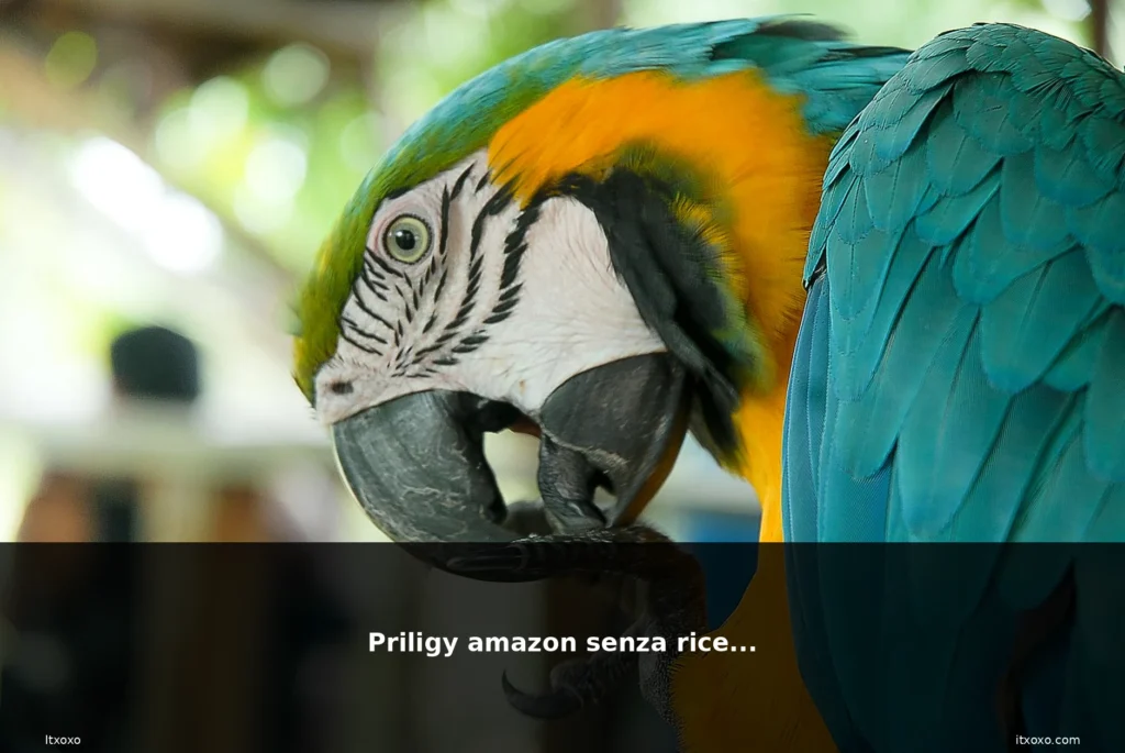 featured priligy amazon pillola medicin